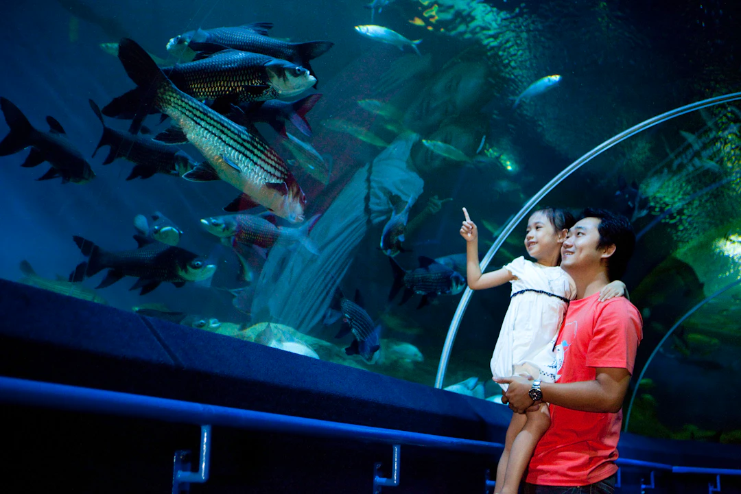 Underwater World Pattaya